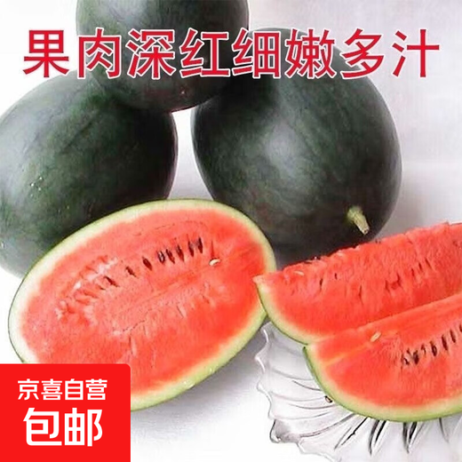 Watermelon set, watermelon seeds, watermelon balcony potted farmhouse garden melon seeds, various varieties, Black Beauty watermelon seeds, 2 packs, about 100 pieces