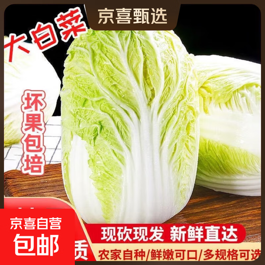 Shandong Shouguang Chinese cabbage, yellow heart, big baby cabbage, fresh vegetables picked by farmers, whole box wholesale from the origin, Shouguang cabbage 4Jin Jin is equal to 0.5kg