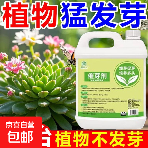 Plant bursting hormone, budding hormone, succulent leaf inserts, germination promotion, household flower growing fertilizer, old pile plant clear leaf fertilizer, old pile dry yellow leaves first aid, new buds grow, 3 barrels 7500ml