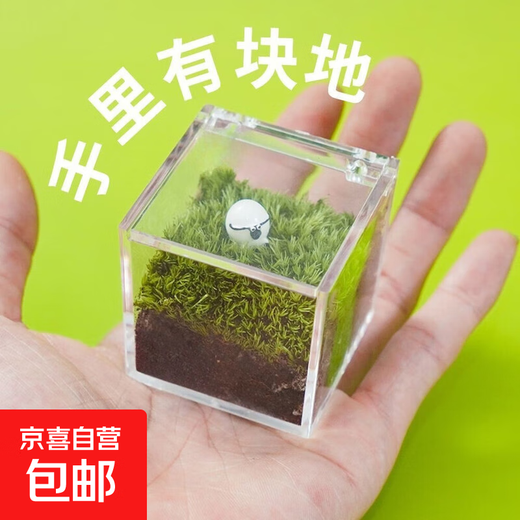 A piece of lawn, mini lawn, moss box, office desktop, green plants and potted plants, creative table, healing micro-landscape, mini private lawn (with fat sheep + watering can + maintenance guide)