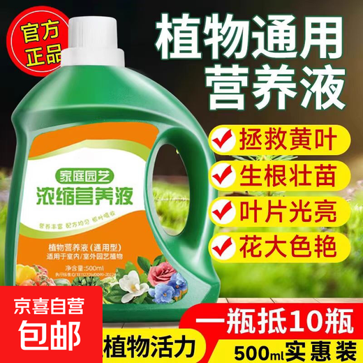 Nutrient solution plant universal flower fertilizer fortune tree rich bamboo green dill hydroponic potted household flower flower fertilizer universal nutrient solution 500g 3 bottles
