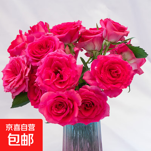 10 roses, Yunnan flowers, straight hair, holiday flowers, gift bouquet, home water-raised flower arrangement 1, Floyd 10 stems