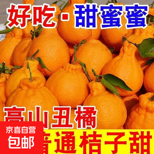 Echte Sichuan Shiranui Ugly Orange, frische Früchte der Saison, gepflückt, volle Box mit Box 10Jin Jin entspricht 0,5 kg