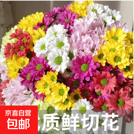 Flower bouquet of 10 branches with essential grass flowers of your choice, Yunnan flowers, water-grown fresh cut flowers, mixed flower arrangement bouquet, random daisies