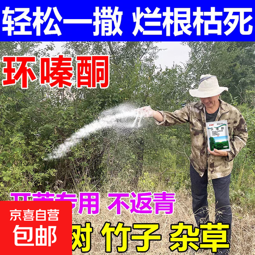 Cyclazinone herbicide Cyclazinone herbicide genuine wholesale cutting weeds and root rotten roots uprooting rotten pesticides land reclamation 5% Cyclazinone 500g*3 bags directly spread