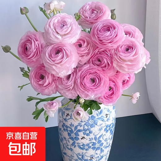 Peony Flowers Base Wholesale High-grade Peonies Fresh Cut Flowers Yunnan Fresh Flowers Bouquet Peonies Pink 10 Branches + Imported Preservative