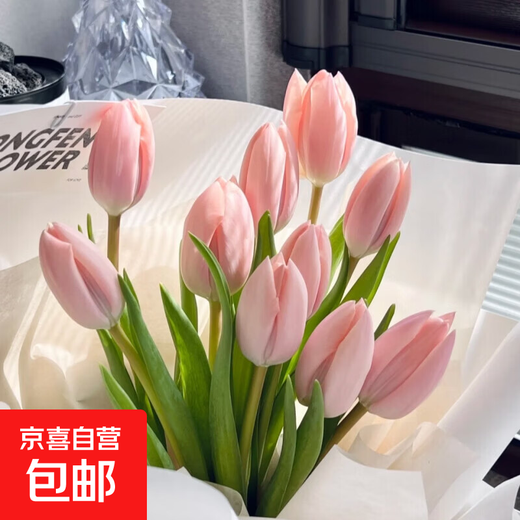 Imported Dutch hydroponic tulip bulbs, indoor and outdoor water-cultured flower plant pots, four-season cold-resistant five-degree balls, peach color 5 balls (circumference 8-10cm) + nutrient solution