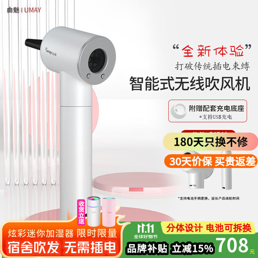 Youmei Rechargeable Wireless Hair Dryer for Student Dormitory USB Portable Hair Dryer Lithium Battery High Power Model Unplugged for Hair Drying Constant Temperature Foldable Valentine's Day Gift Exquisite General Charge