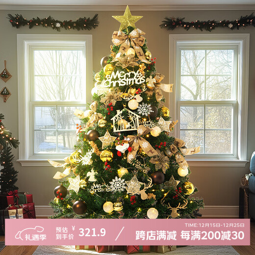 Duomeiyi Christmas Tree Package Christmas Decorations Home Shopping Mall Hotel Atmosphere Layout Luxurious Encrypted 1.8 Meter Christmas Tree