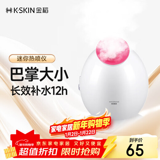 Jindao Facial Steamer Beauty Instrument Facial Spray Hydrating Instrument Steamer Humidifier Hot Spray Facial Steamer Q Version Portable Mask Partner KD233 Birthday Gift New Year Gift