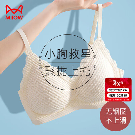 Catman Underwear Women's Seamless Wireless Bra Small Breast Push Up Thin Beautiful Back Bra All-in-one Invisible Sexy Bra for Women