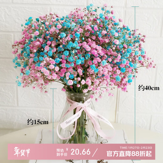 AIMAN Gypsophila Natural Dried Flower Bouquet Ins Internet Celebrity Birthday New House Decorative Ornaments Air-dried Real Flower Arrangements Home Furnishings Blue and Pink Mixed Gypsophila With M Vase