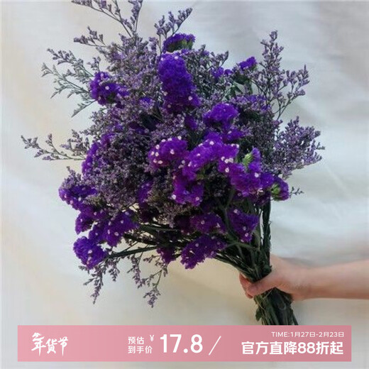 AIMAN Yunnan Flowers Dried Flower Bouquet Forget-Me-Not Lover Grass Combination Starry Gypsophila Living Room Real Flower Arrangement Home Furnishings Purple + Grass About 30 Pieces Not Excluding Flower Basket
