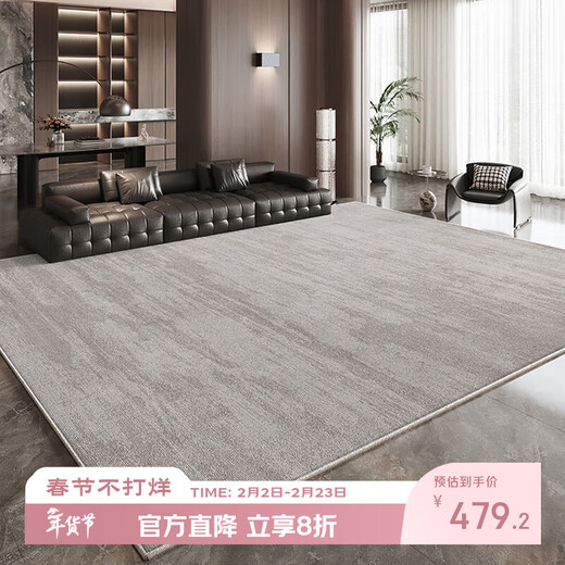 Budis carpet living room light luxury high-end sofa coffee table large size waterproof anti-slip no-wash and wipeable 2025 new floor mat