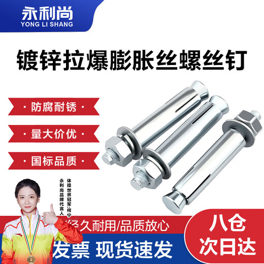 Yonglishang national standard iron galvanized expansion bolt expansion wire expansion screw M8*60 (10 pieces)