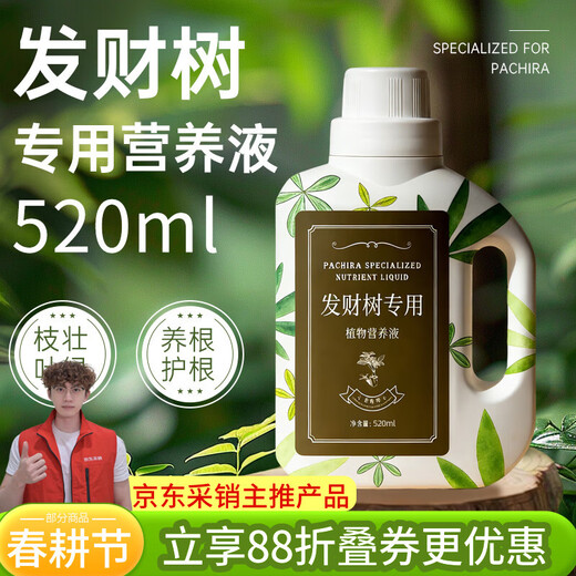 Jinyate special nutrient solution for money tree plants, leaves turn yellow and fall off, green plant potted flower fertilizer 500ml