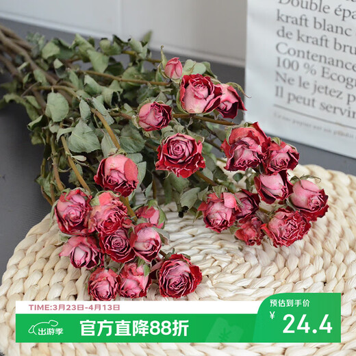 AIMAN flowers real flowers multi-headed small roses dried flowers Yunnan air-dried DIY small fresh ins bouquet living room decoration ornaments stunning bubbles 10 pieces dried flower bag