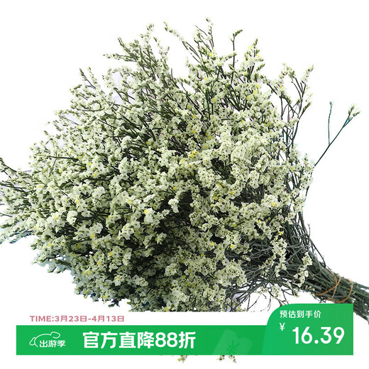 AIMAN Yunnan Forget-Me-Not Real Flowers Dried Flower Bouquet Home Furnishings Small Fresh Living Room Gypsophila Flower Arrangement Theory Jin Jin is equal to 0.5 kg. Sell Yellow Crystal Flowers One Bouquet Dried Branches