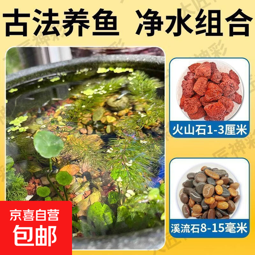 Natural volcanic stone stream stone fish tank decoration package Native landscaping bottom sand special gravel for garden fish farming Large size 5 Jin Jin equals 0.5 kg Volcanic stone + 5 Jin Jin equals 0.5 kg Stream stone + 1 thickened packaging bag Ancient landscaping combination Stabilizes water quality + absorbs impurities