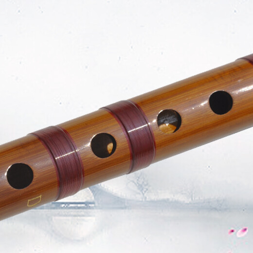 
Mr. Guanzi flute Mr. Guanzi professionally performs the refined double insert two-section bitter bamboo flute horizontal flute instrument for beginner grade children D tune