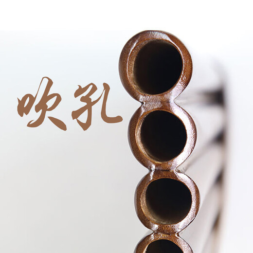 奇宝居 初学专业排箫22管演奏排箫 15音排箫民族乐器培训教学学生排箫 15管 C调