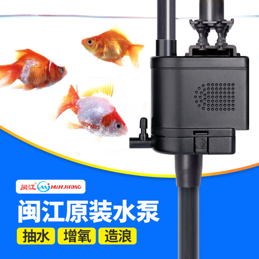 Bomba de oxígeno de la bomba de oxígeno Fujian Jiangshuizu Bomba de oxígeno de oxígeno Bomba de agua Bomba de agua de oxígeno original Classic tradicional práctica R3 1200/20W (sin taza de succión)