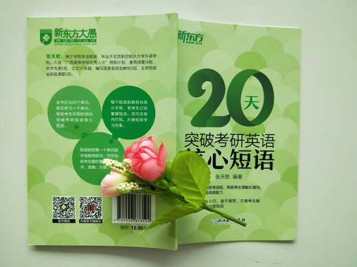 新东方 20天突破考研英语核心短语 张天乾 英语一英语二通用 考研英语历年真题短语 考研词汇英语一二适用可搭英语黄皮书恋练有词恋词