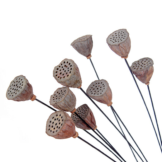 Youyi dried flowers extra large plump metal flower pole with seeds dried lotus lotus dried flowers decoration living room floor small lotus 3 pieces price