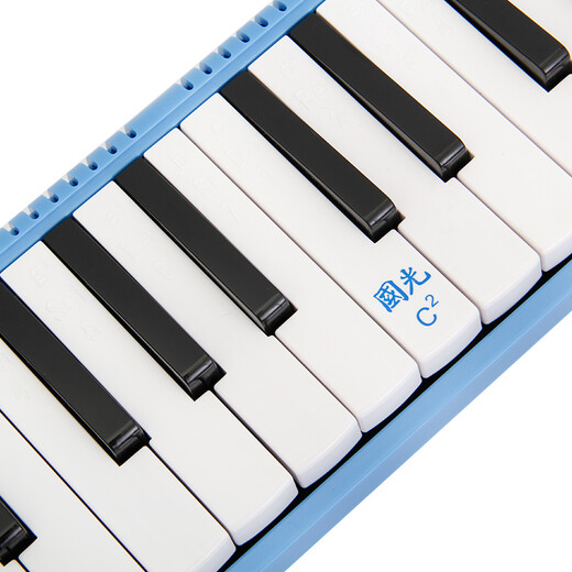 
Guoguang 37-key teaching recommended classroom designated organ blue (canvas soft packaging/playing instructions)