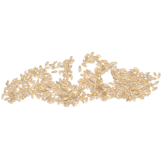 Zhongke Maohua Vegetable and Fruit Seeds Hybrid First-generation Xiangmanyuan White Belt Yellow Melon Seeds Thin-skinned and thick-flesh super sweet and fragrant melon seeds Base greenhouse cultivation Xiangmanyuan 100 capsules/bag Great value for multiple purchases