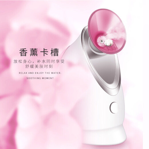 Golden rice facial steaming instrument facial mist hydration instrument steam machine hot spray facial steamer humidifier aromatherapy ion hot spray mask partner KD2331A rose red birthday gift for women