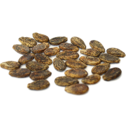 Zhongke Maohua vegetable and fruit seeds, resistant to repeated cropping, black general, black skin, big red flesh, watermelon seeds, resistant to fusarium wilt, continuous cropping for 8 years, large fruit, black general, watermelon seeds 10g (simple package)
