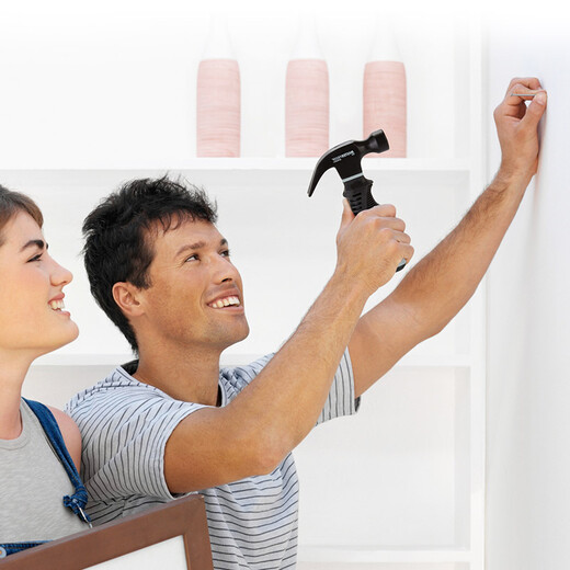 MASTERPROOF small claw hammer hammer household hammer multi-functional nail hammer car safety hammer woodworking hammer claw hammer 8OZ mini claw hammer German DIN standard