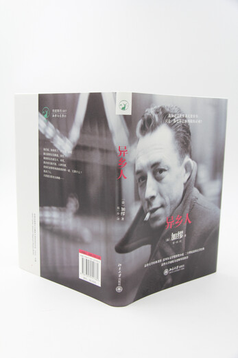 The Stranger is also translated as The Outsider, Camus’ Nobel Prize-winning work. There is nothing wrong with being lonely, I am just an outsider!