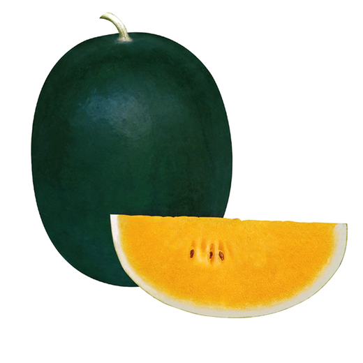 Zhongke Maohua vegetable and fruit seeds Rainbow No. 2 gift watermelon seeds super sweet small pulp delicate picking garden seeds Rainbow No. 2 100 capsules 5 packs