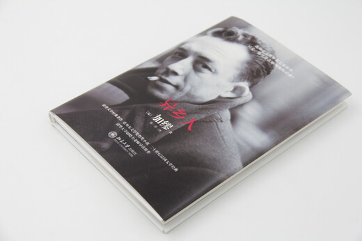 The Stranger is also translated as The Outsider, Camus’ Nobel Prize-winning work. There is nothing wrong with being lonely, I am just an outsider!