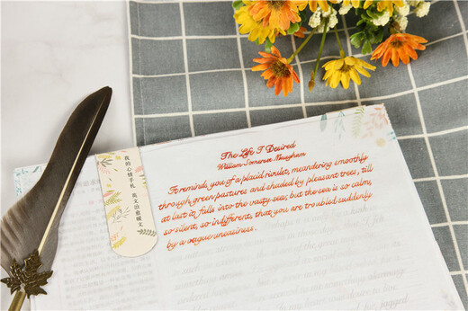 英语字帖 每天写一点唯美英文：我的心情手札 英文治愈暖文（附赠临摹纸+磁性书签夹+配乐朗读音频）