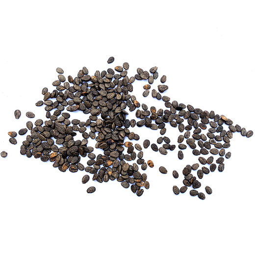 Zhongke Maohua vegetable and fruit seeds Rainbow No. 2 gift watermelon seeds super sweet small pulp delicate picking garden seeds Rainbow No. 2 100 capsules 5 packs