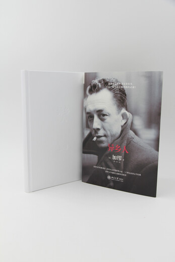 The Stranger is also translated as The Outsider, Camus’ Nobel Prize-winning work. There is nothing wrong with being lonely, I am just an outsider!