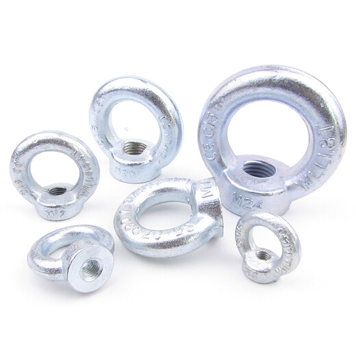 Jishuo eye bolt 304 galvanized British eye nut eye screw lifting eye/hanging nut galvanized fine tooth eye hanging wire M64 (16.0T)