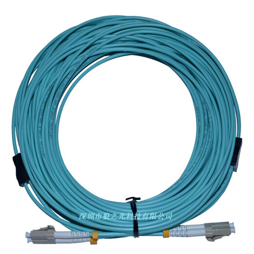 EB-LINK 电信级LC-LC铠装OM3万兆多模双芯10G光纤跳线OM4双工尾纤防鼠咬抗拉抗压 铠装万兆多模双芯OM3 15米