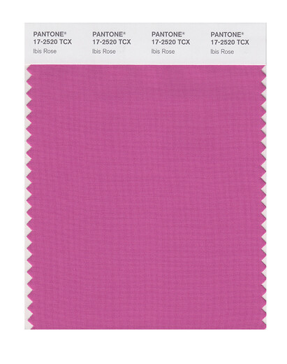 
PANTONE/Pantone/Collection Clothing and Home Furnishings 17-1740 to 17-2601TCX Cotton Version Single Color Card 17-2520X