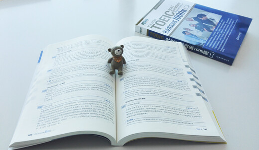 New Oriental TOEIC practical training 1000 questions (2)