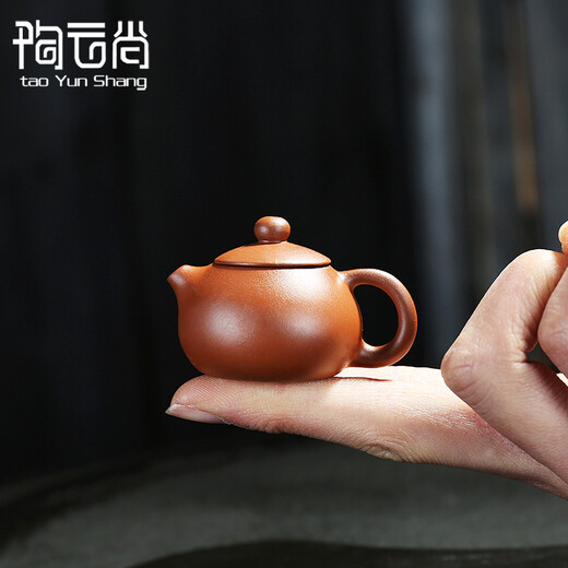 Tao Yunshang's mini small purple clay pot, creative fingertip pot, small tea pot, tea play pet ornaments, boutique can raise interesting small teapot ornaments, mini red clay-Xi Shi pot
