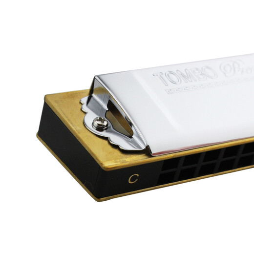 通宝（TOMBO） 日本原装进口21孔复音口琴3521演奏级专业款成人表演录音送人 21孔E调