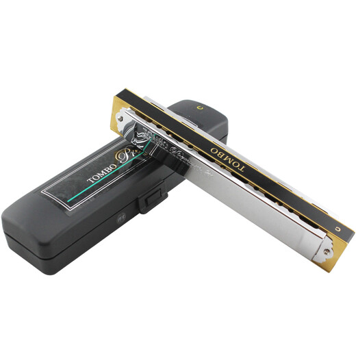 通宝（TOMBO） 日本原装进口21孔复音口琴3521演奏级专业款成人表演录音送人 21孔E调