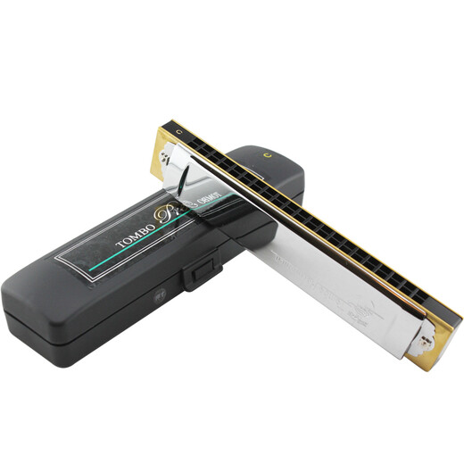 通宝（TOMBO） 日本原装进口21孔复音口琴3521演奏级专业款成人表演录音送人 21孔E调