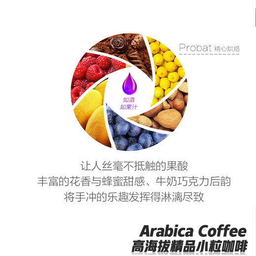 中咖 咖啡豆 黑蜜处理/日晒/铁皮卡大师套装681G 蜜处理227g*3 咖啡豆