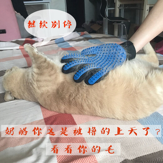 Bellega cat comb, cat gloves, cat-specific hair removal artifact, hair removal comb, pet dog hair removal, cat hair nemesis, left-hand blue