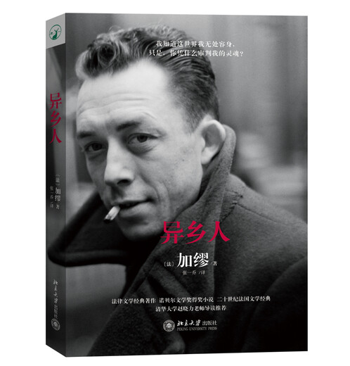 The Stranger is also translated as The Outsider, Camus’ Nobel Prize-winning work. There is nothing wrong with being lonely, I am just an outsider!